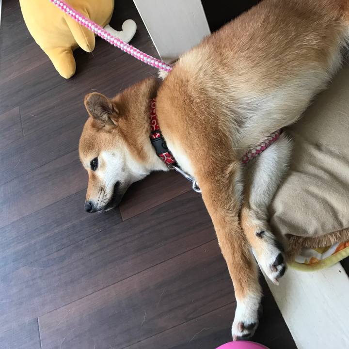 F26ba266 bec0 4d3f 81b1 af39d774af84