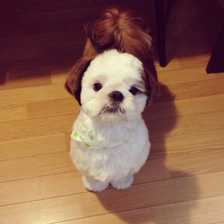 F26ba90d a633 4216 b1dd b06a7711cfb8