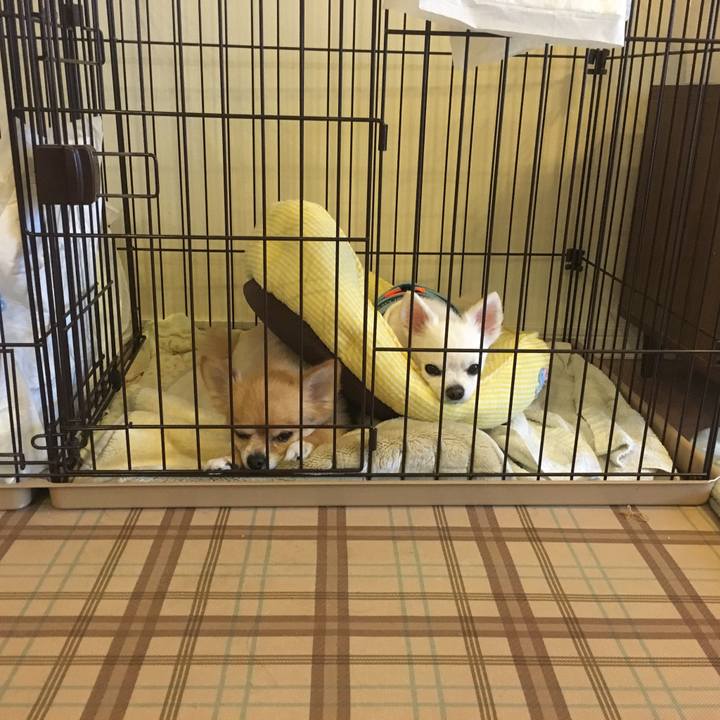 F26bf2db 8759 406b ba53 8d82b1671586