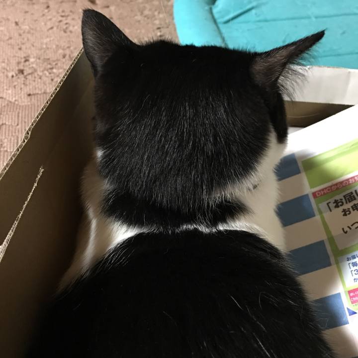 F26bfea9 46e8 4493 9978 df9ec27e353f