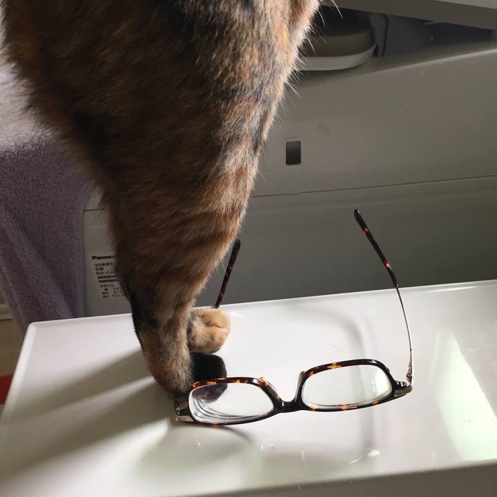 F26bff65 b165 4c65 b06b 7366d06697e7