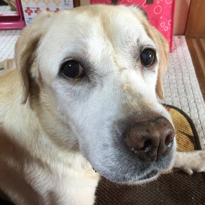 F26c5a7f e5a3 4539 8ba6 edb2fa633d13