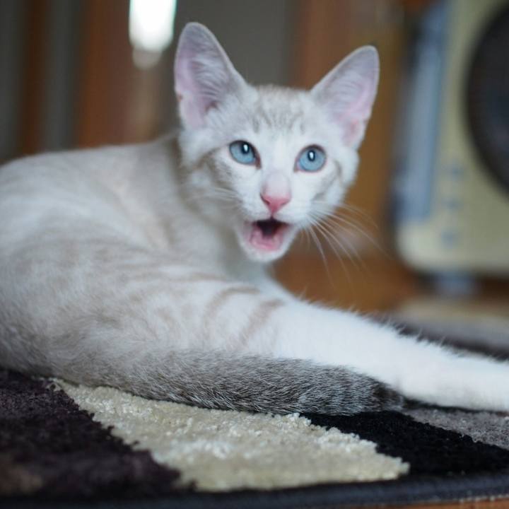 F26cecf6 9063 420b 9306 e74f3f3d0d0d