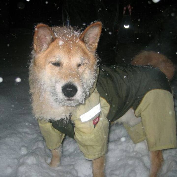 F26d7682 423e 44f5 ab20 ad7d3ba2b6e8