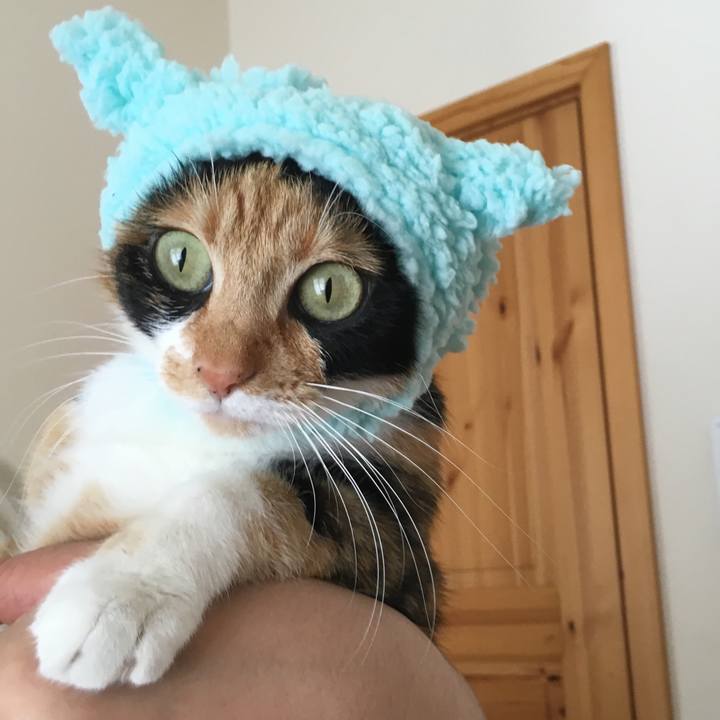 F26ec688 c737 4db2 8c25 2fd4e102d343