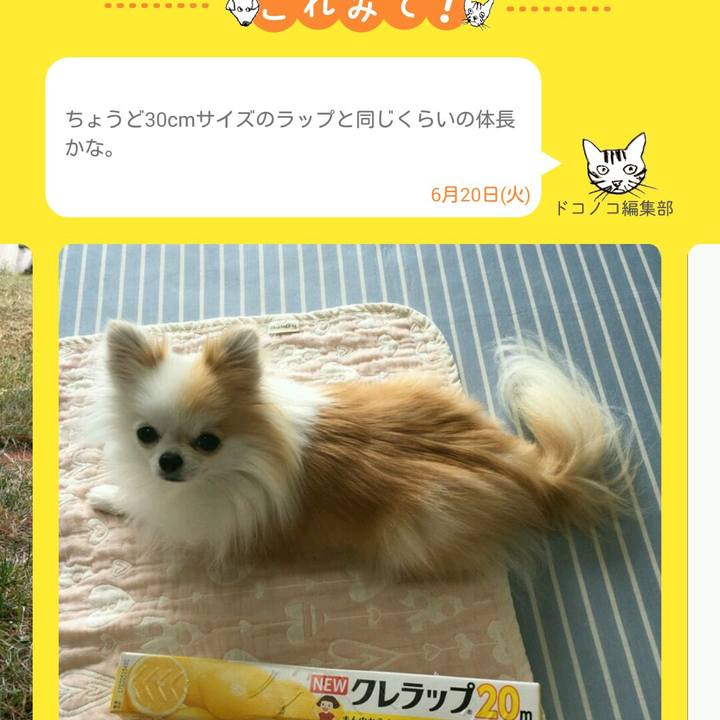 F26fc122 1fb1 4e15 8d13 8c7a8ce20f98