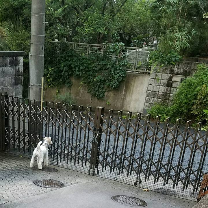 F2701b18 3e8c 4fda ab91 4e3b456b8118