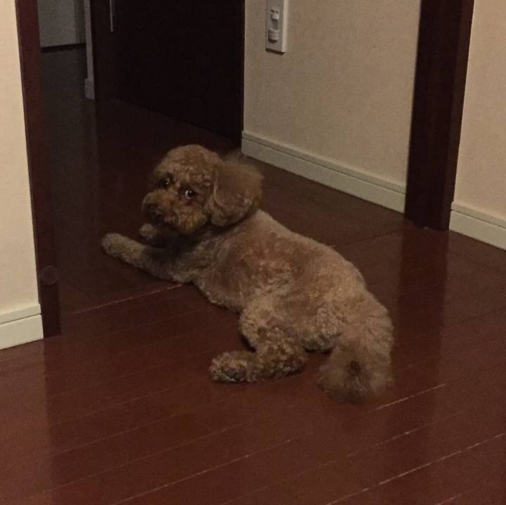 F2706f65 7213 4858 b769 ef1636b3ab60