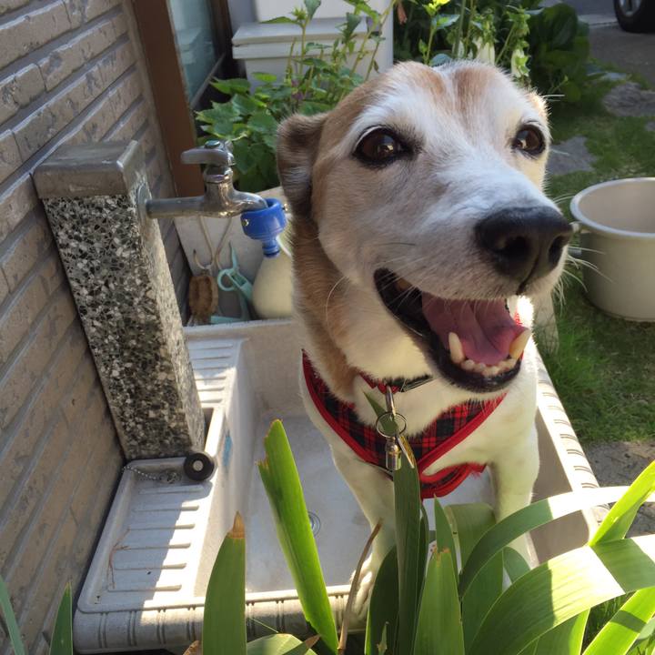 F2711713 ee70 426c 9ceb 1fc33c4be125