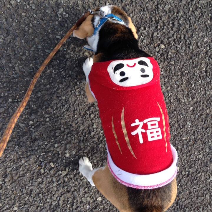 F2711889 3a1c 4c21 a1a2 86c60aace07a