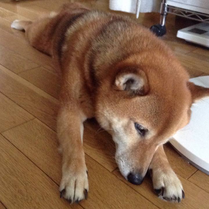 F2714486 4e67 498e b3ee abb51106b62c