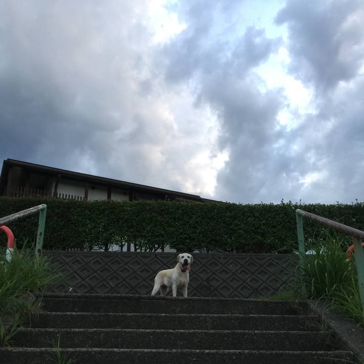 F2715211 2a22 4f5f 938a c4577185d59f