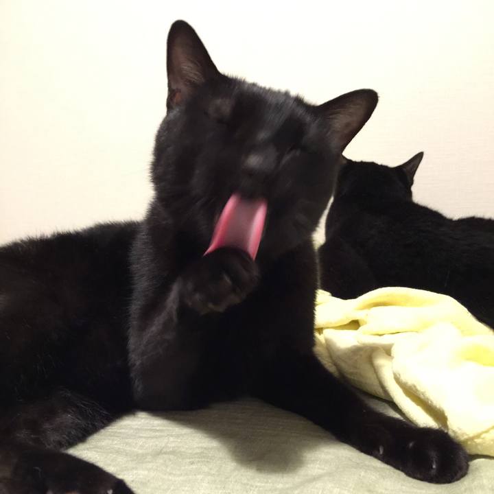 F271a376 f99d 49f7 bd9a 1c865ac20ed1