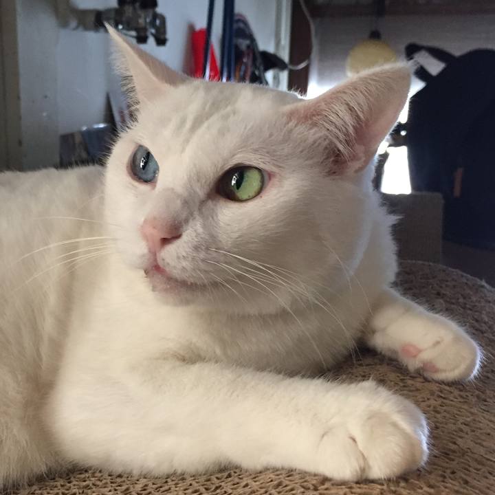 F271ad6d 8d97 4eec 93b0 f0fad9566db0