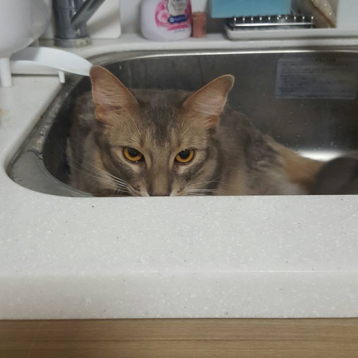 F271e162 c07a 4363 b777 82b18640d2d8