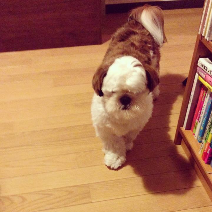 F2727957 9a77 46ec badc c825f320cea0