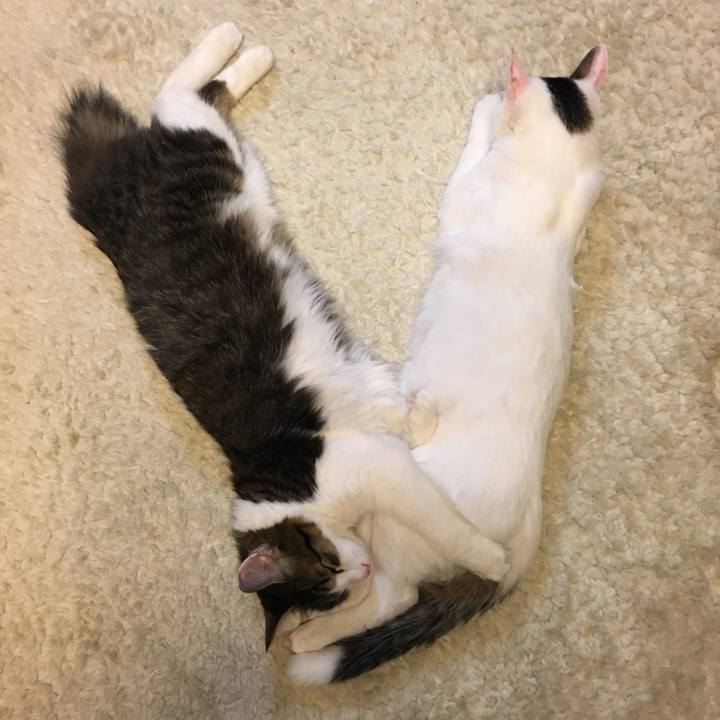 F2733b3c f465 45db ab0f 11f00e2ef625