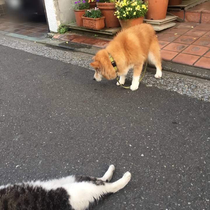 F2734821 eb67 4e0a 8d0e 773b46e8b207