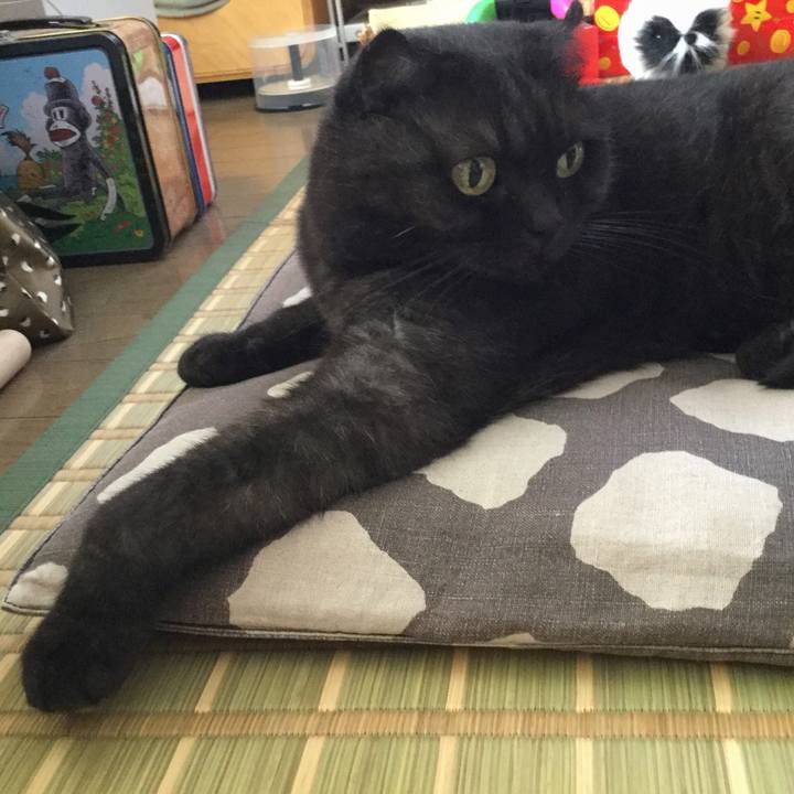 F27369c0 63fb 43d7 9201 1085eaf2eee6