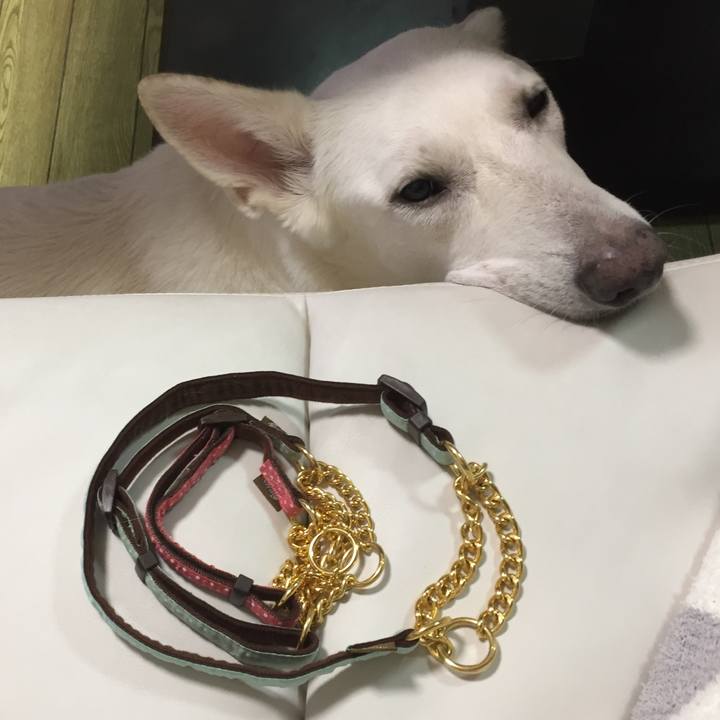 F273c56d 3a3a 4b33 b521 8123b30e9085