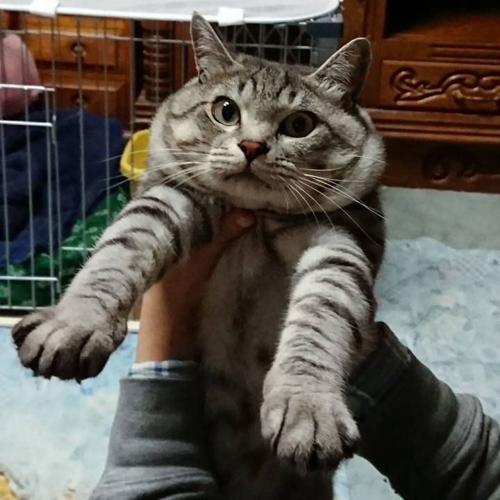 F2741038 bda7 4e95 8900 c67bf6af6558