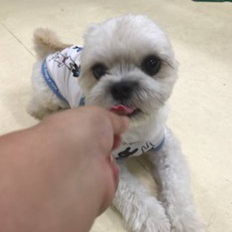 F2745f55 4695 43a5 9385 ad1ad79560ed