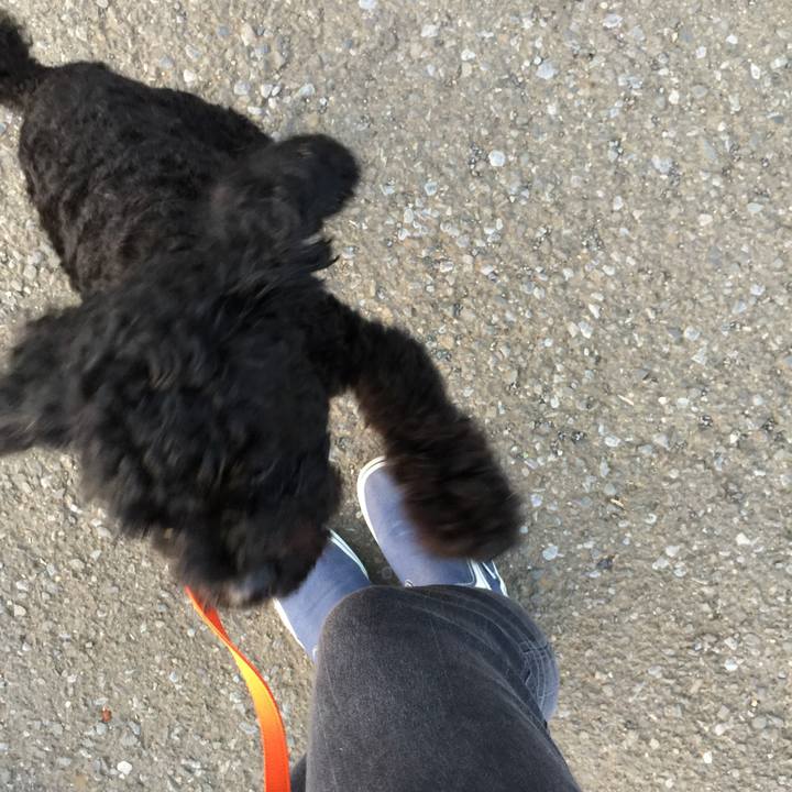 F27463e9 858a 42b2 a9d0 d90d6e396438