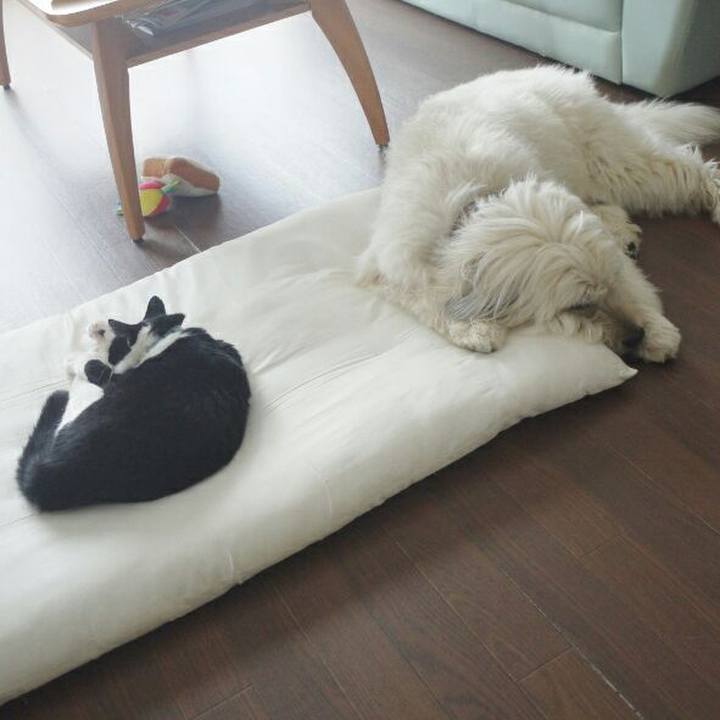 F2749c77 f94a 4e23 a5c7 650503dbc60a