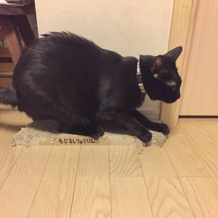 F2753278 966d 4851 876f c7938fe54128