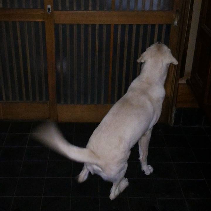 F275365e 7982 4e32 bc3c eb50e55dda5b