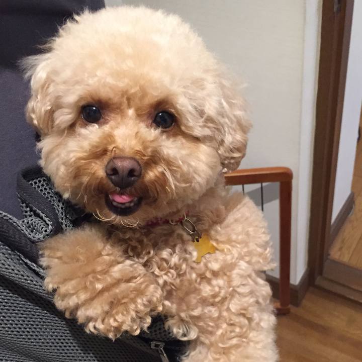 F2754043 0631 4c5f a29a c8f477dccccf