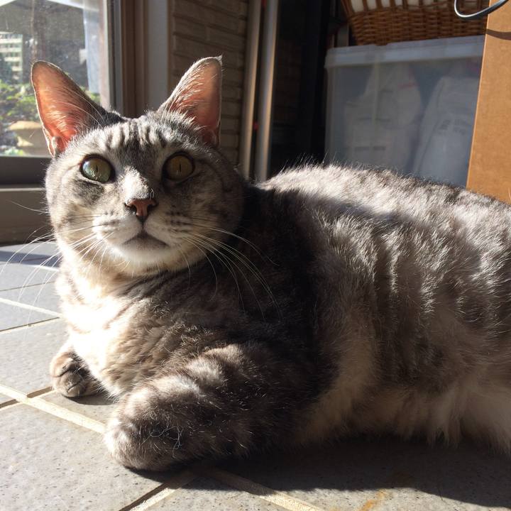 F275a937 a534 4687 b8fe 5f4c958f98b0