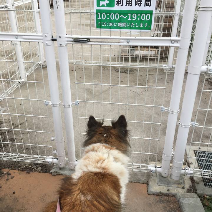 F2767a0a 1cee 4f61 b18d c13a9717b00d