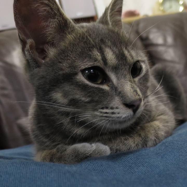 F276d4a1 5408 4316 82d2 1f90493b99d8