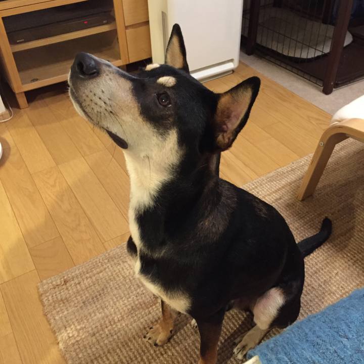 F278eb04 d253 434e 890a 3a2b7fdef3a9