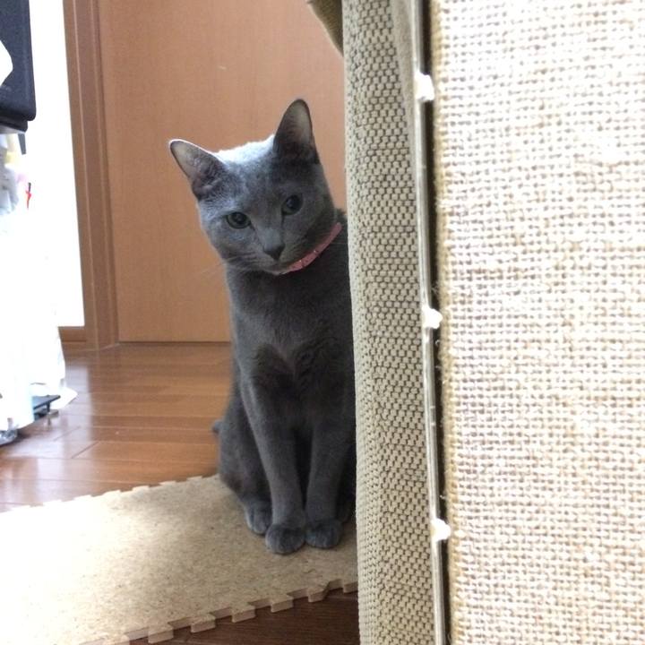 F27998a5 3bfb 4dbd ac14 f3376a8c30ad