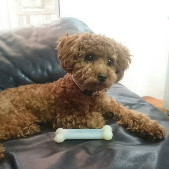 F279a29b 377b 40d2 ac04 7ed2e33cef76