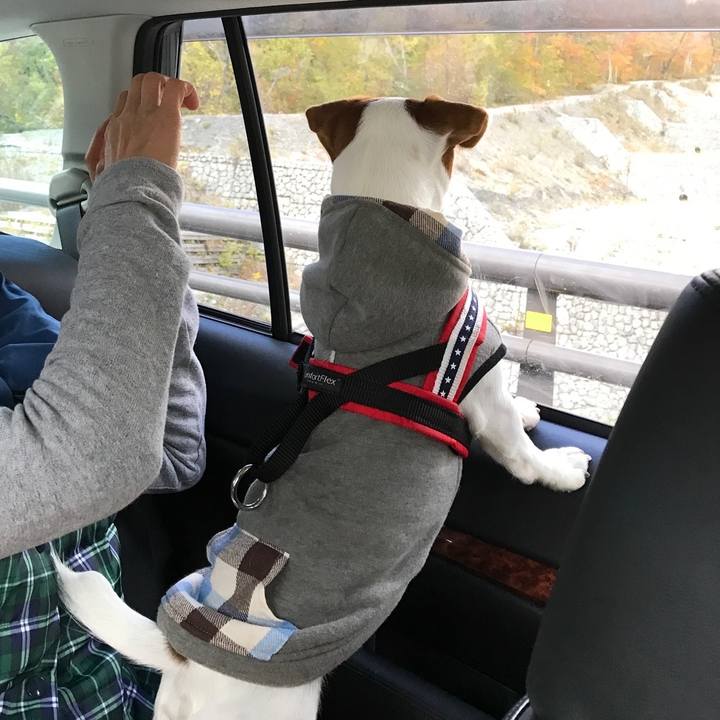 F27a2fc4 df9a 4e87 b003 ea9b6eedb024