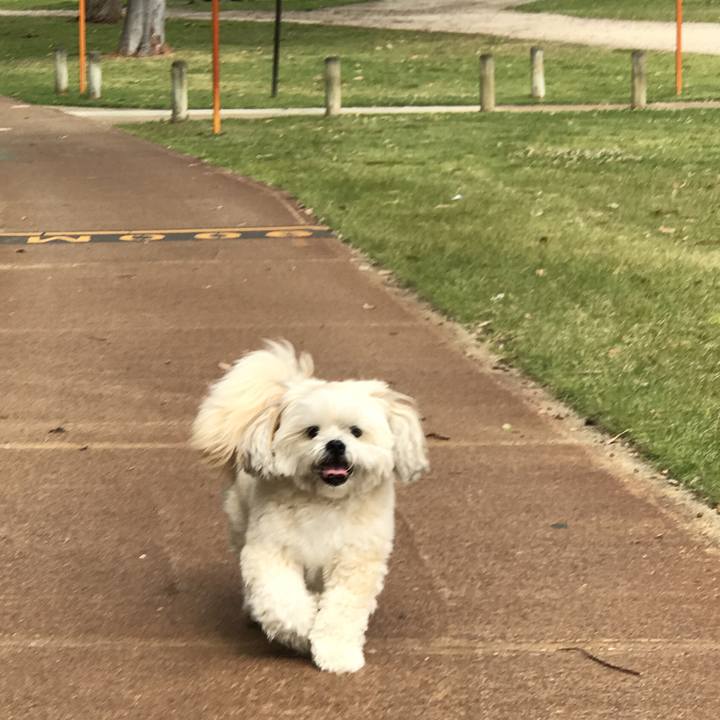 F27b66a0 33bc 44d6 b1ff 4b59308c2138