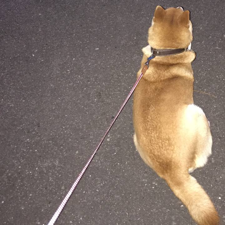 F27c5259 4d80 4b34 bdc1 a0568a0d15d2