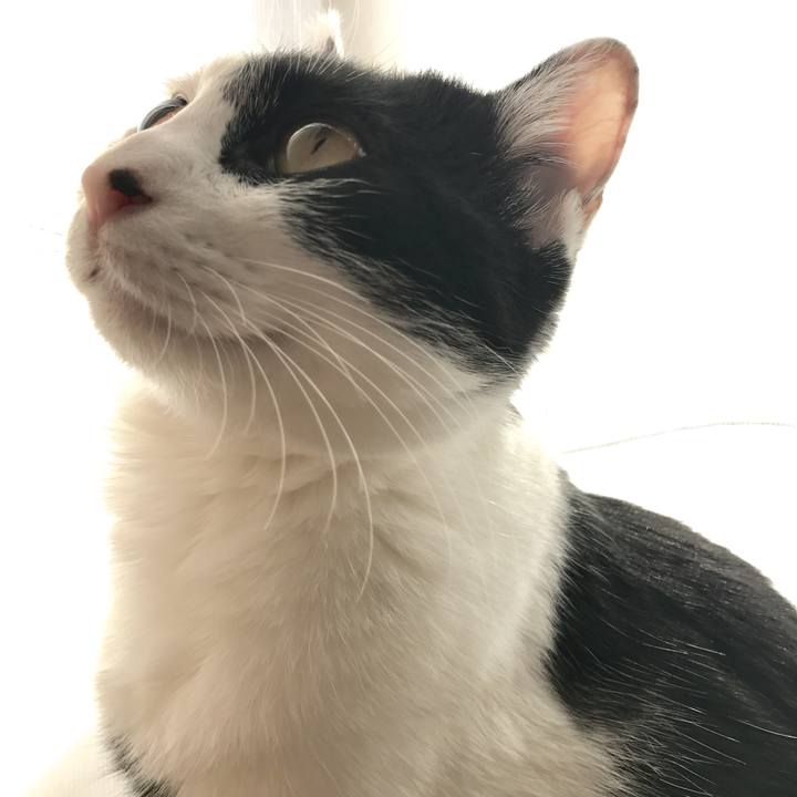 F27c7316 77db 4754 89e0 1f88d51f826e