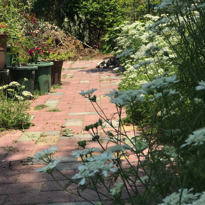 F27ce4bf dd4a 47d3 9e8c c623f2e94b3b