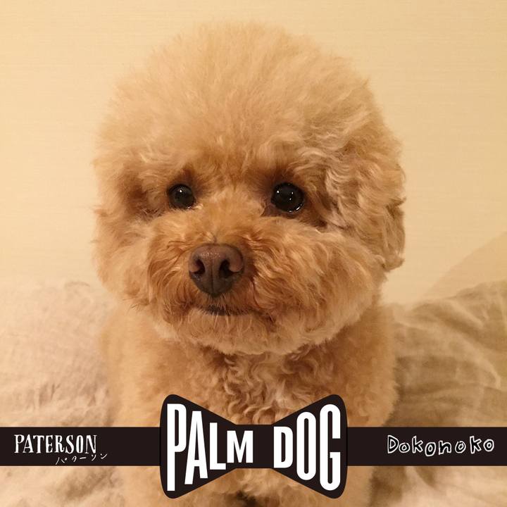 F27eca0f ec8a 4db2 a44f 0e3dbcc90802