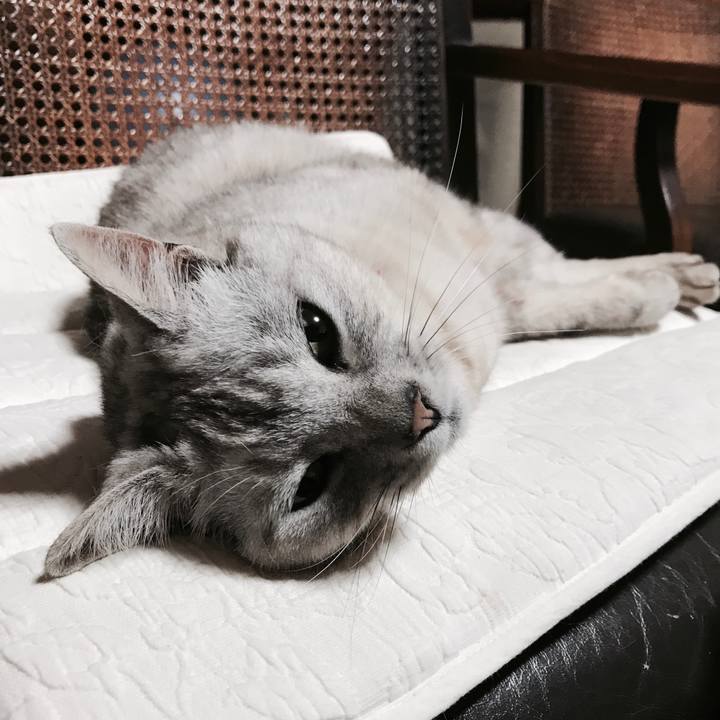 F27ed7bd e629 4c7a ab1b 47726bb837d4