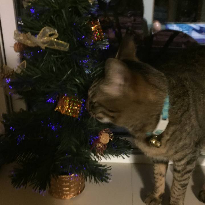 F27f3e7a 4dae 40d0 b38e 5b1e0a2d2114