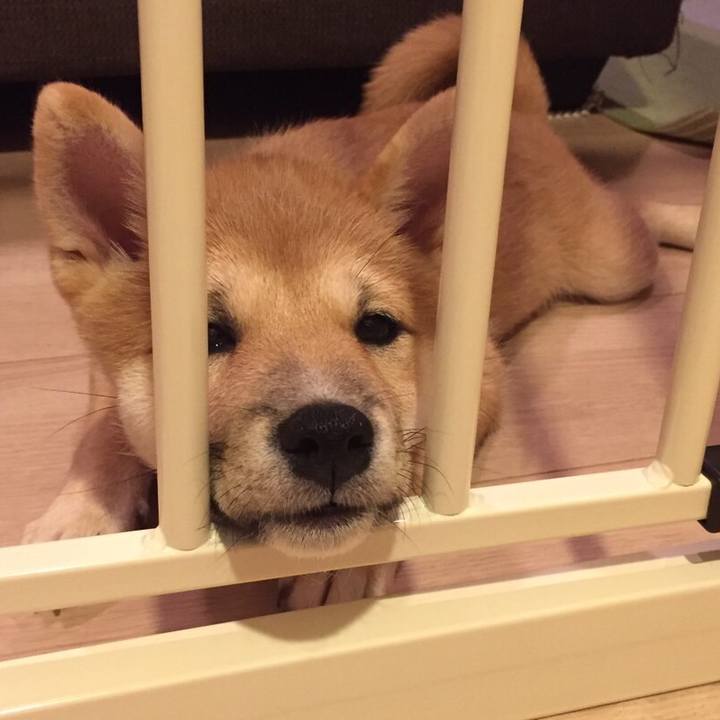 F27f49fd 36b6 41cc a3a0 b8c2b64a3c26