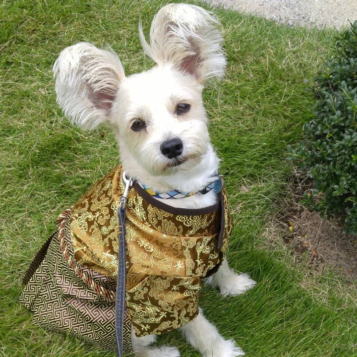 F27f5f7c 6a5e 4737 9736 9b345b488053