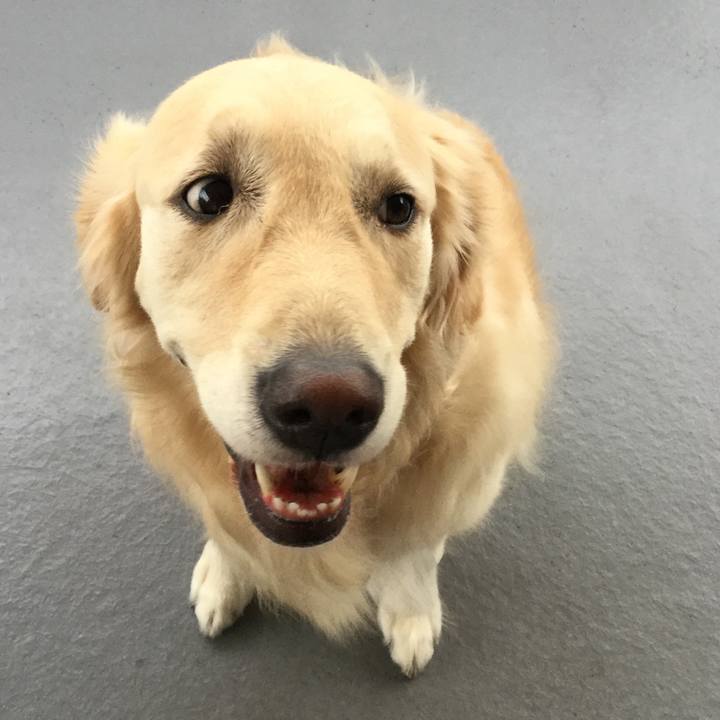 F27f92b1 4966 4f68 a1d6 70426e6d47d9