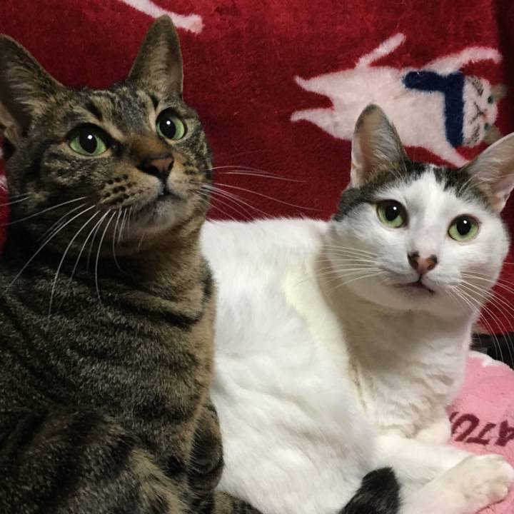 F27fdc45 3e57 4539 8783 07d46f7ca90f