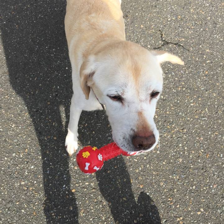 F2805773 24f1 46ef ba81 ad9dd8eaf32f